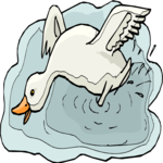 Goose - Happy 2