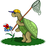 Turtle Catching Butterfly
