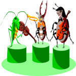 Band - Insects