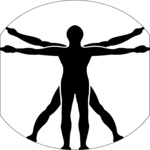 Chiropractic 4