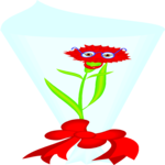 Carnation 5