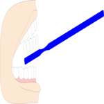 Toothbrush 1