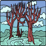 Trees 20