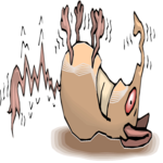 Longnose Shaking