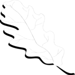 Leaf 054