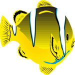 Fish 040