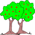 Trees 26