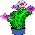 Cactus with Flower 6