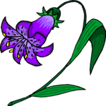 Flower 297