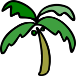 Palm Tree 48