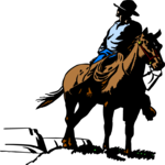 Cowboy 28