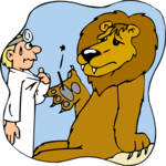 Lion - Splinter in Paw