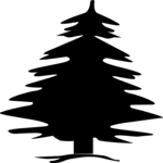 Tree 045