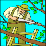 Gardener 38