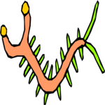 Bug 025