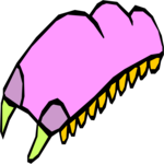 Bug 003