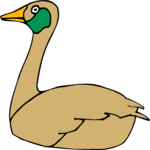 Duck 03