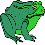 Frog 18