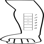 Tuberculosis Test