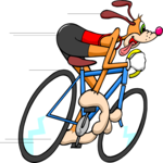 Cycling - Dog