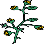 Plant 106