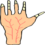 Hand 4