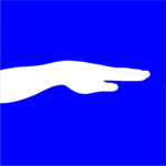 Wrist & Hand