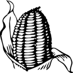 Corn 09