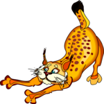 Bobcat 2