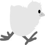 Chick 05