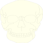 Skull 07
