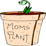 Mom's Plant