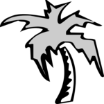 Palm Tree 21