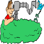 Bird Watching 8