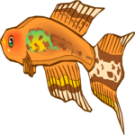 Killifish 17