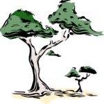 Trees 08