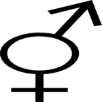 Hermaphrodite