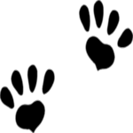 Pawprints 1