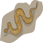 Snake 28