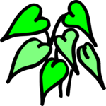 Leaves 55