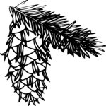 Leaves 16