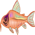 Catfish - Corydoras 4