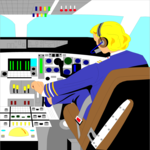 Co-Pilot