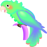 Parrot 25