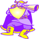 Viking 14