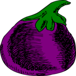 Eggplant 14