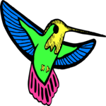 Hummingbird 16