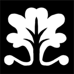 Shape 194