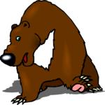 Bear 17