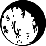Planet 15